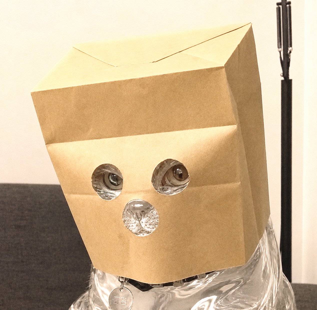 Anonymous Pons Cat